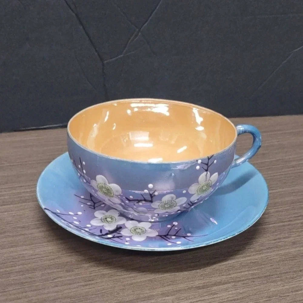 RS Vintage Hand Painted Japan Teacup And Saucer Set Daisy